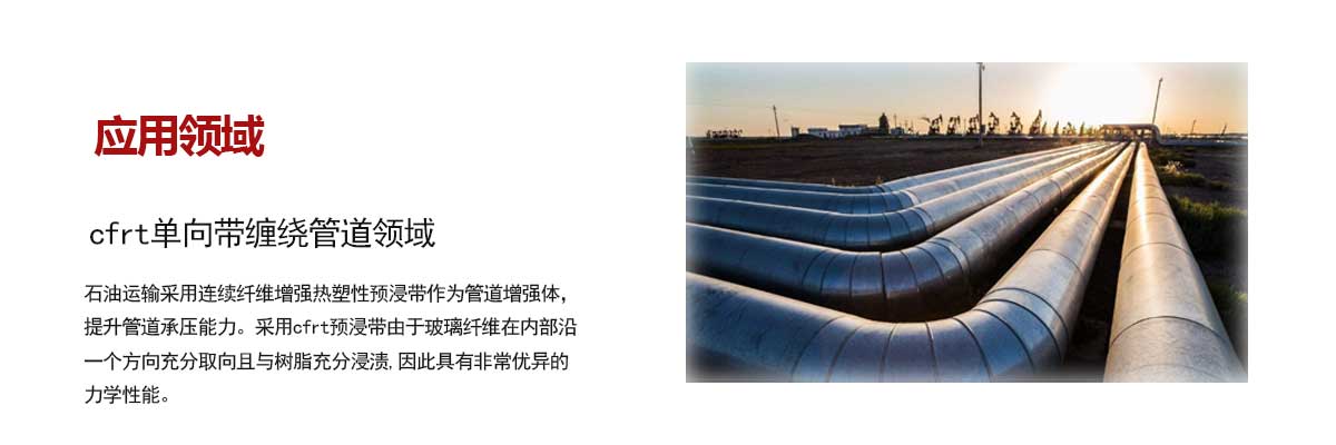 石油(yóu)管道領域